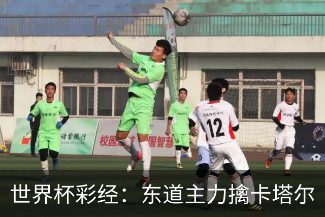 世界杯彩经：东道主力擒卡塔尔